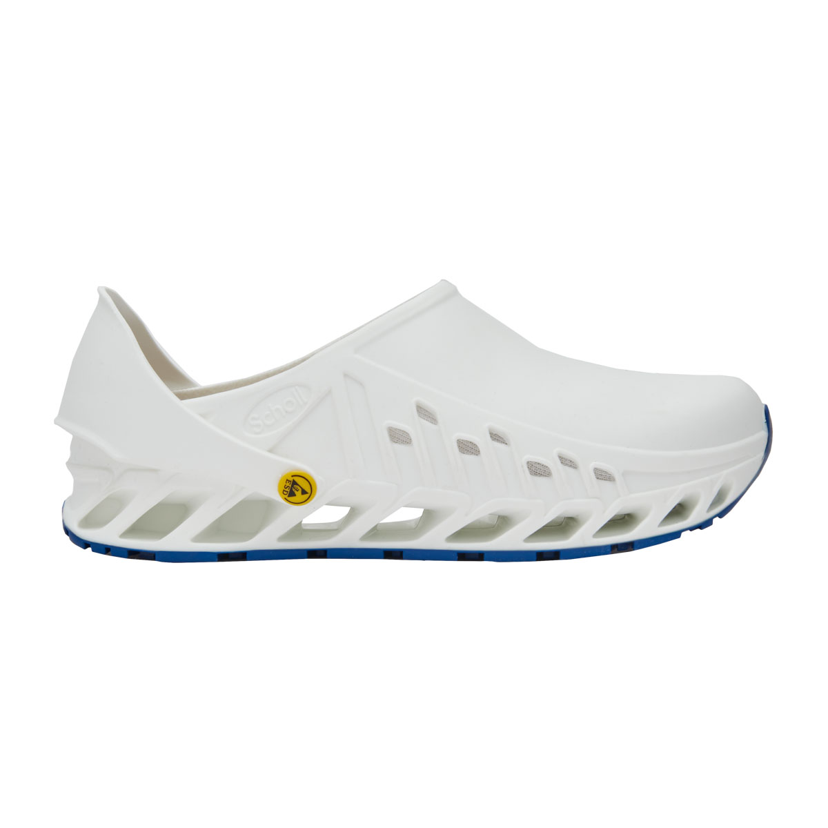 EVOFLEX WHITE.jpg