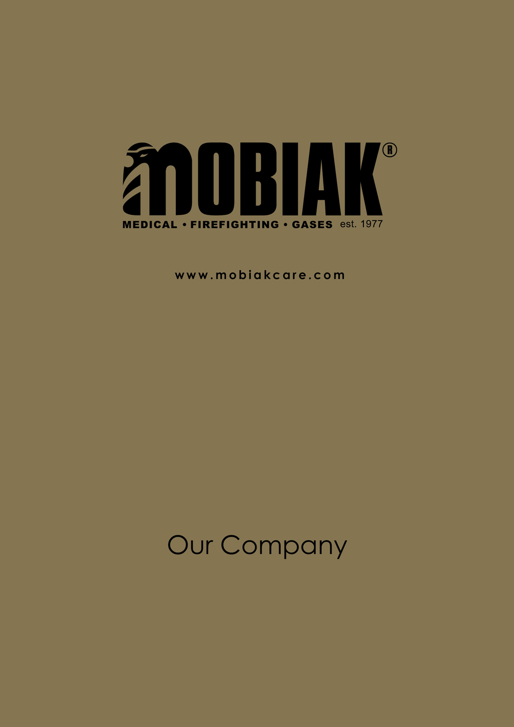 OUR-COMPANY-e