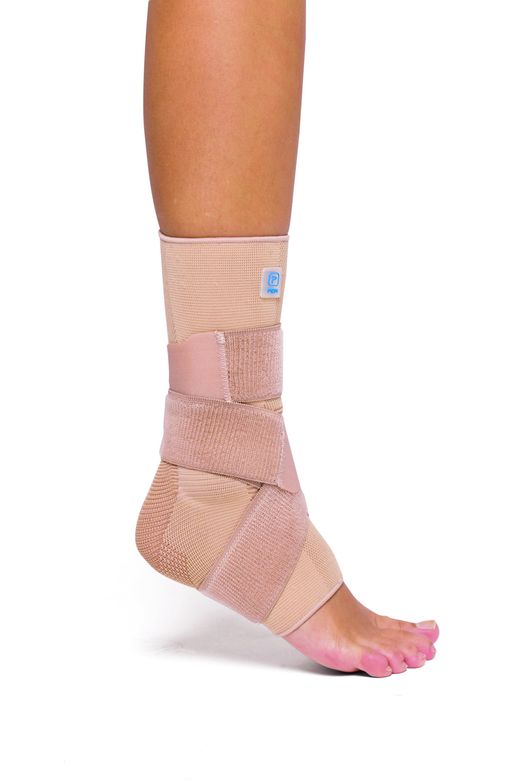 24337_1.jpg